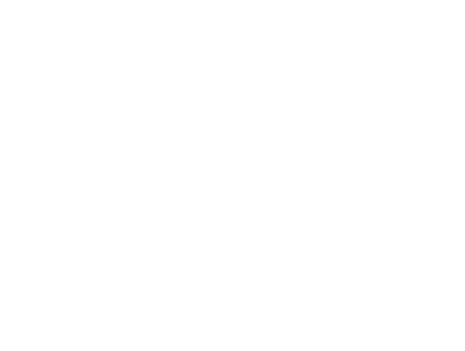 Logo bijeli Hit Group rent a car